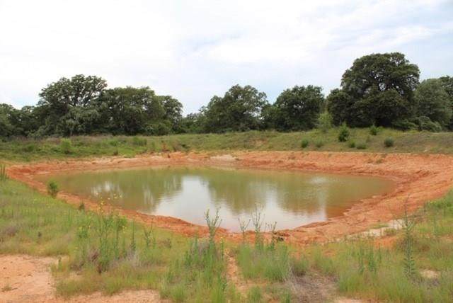 TBD County Road 336 - Photo 1