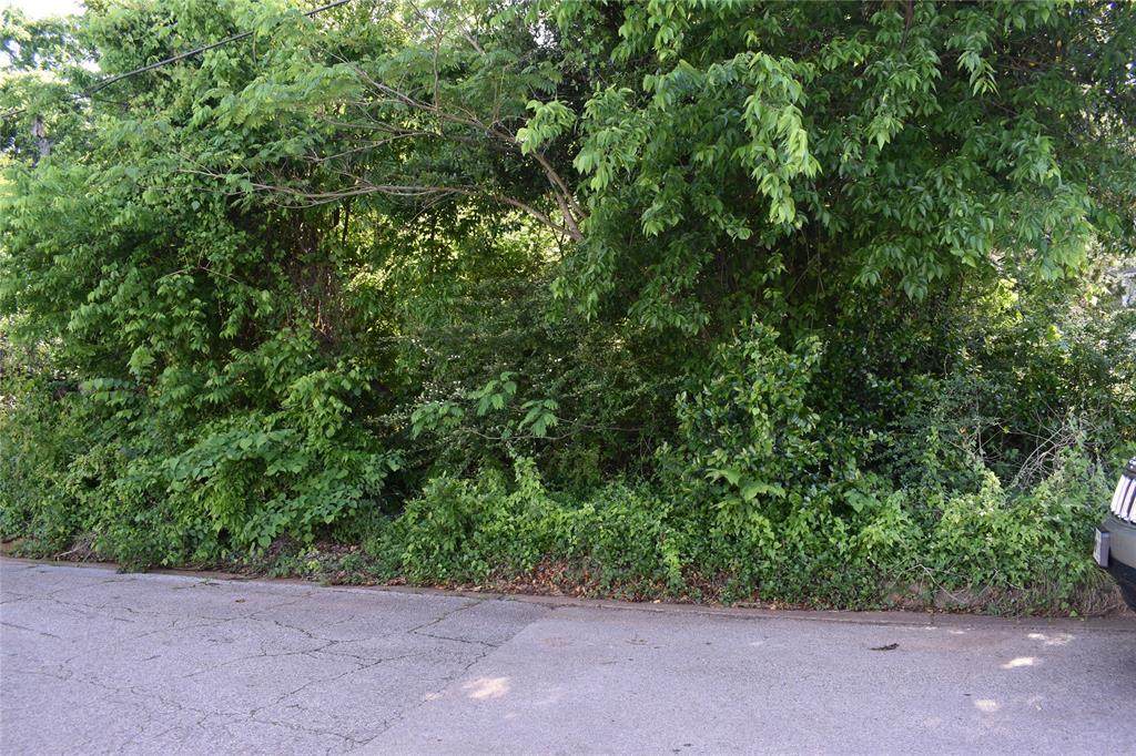 1211 Conrad Street - Photo 1