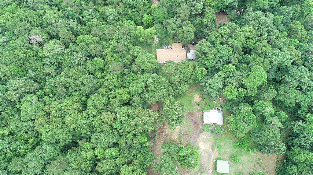 15824 Kropik Road - Photo 1