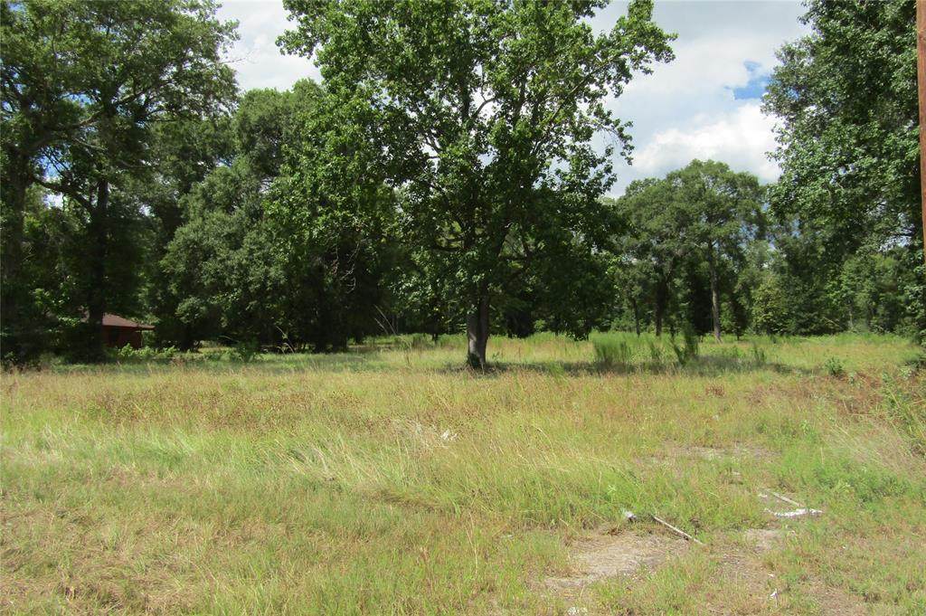 4392 Us Highway 190 - Photo 1