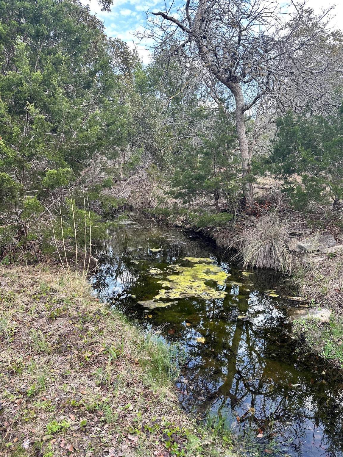 31291 Ranch Road 12 - Photo 1