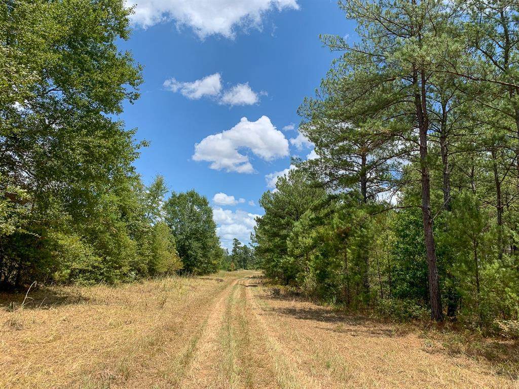 0 Off Lost Indian Camp Road - Photo 1