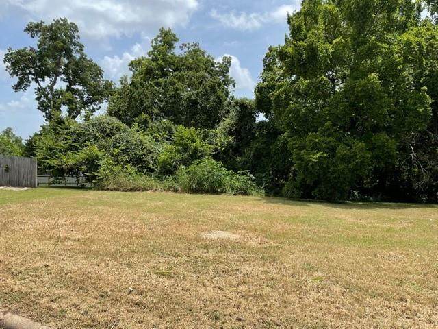 TBD L15 Lois Wright Circle - Photo 1
