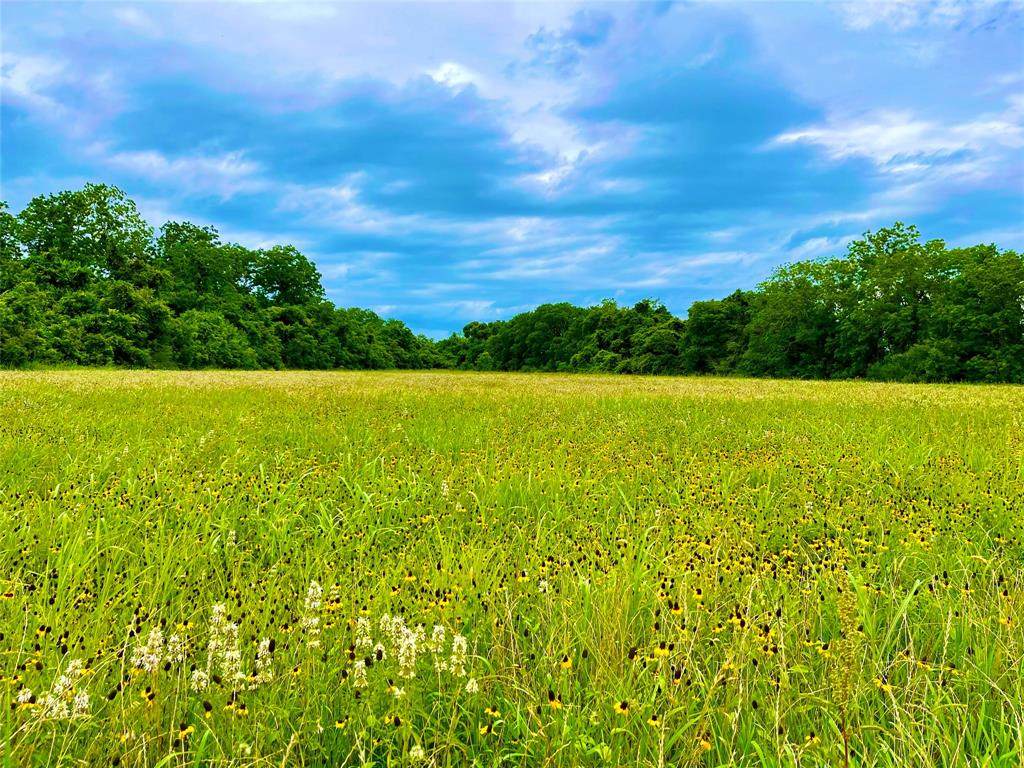Lot 23 Mockingbird Lane - Photo 1
