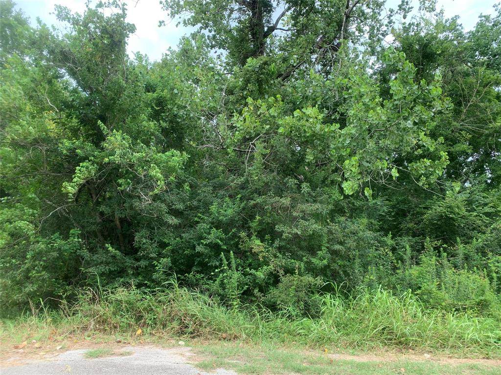 9002 Spruce Street - Photo 1