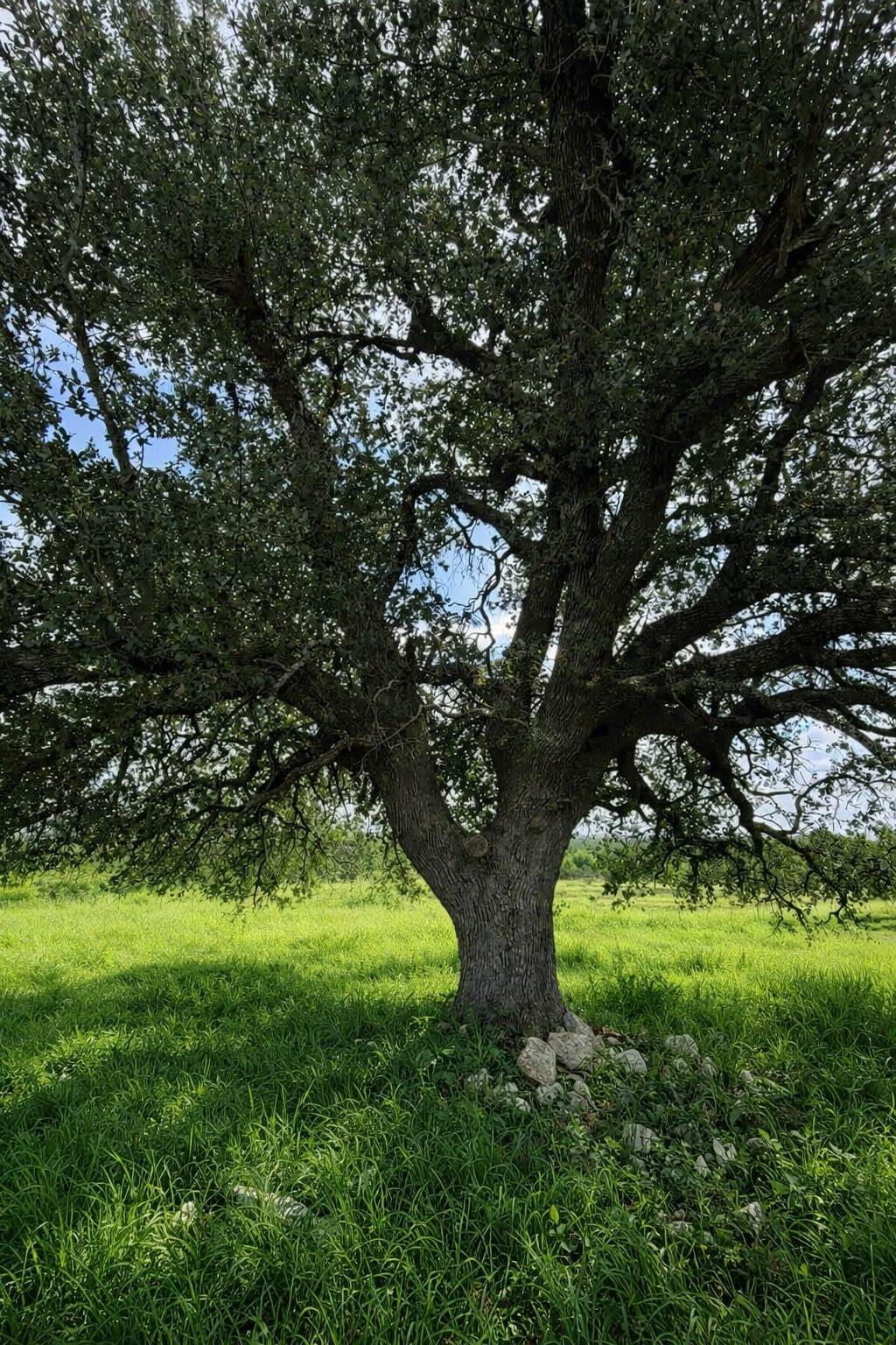https://bt-photos.global.ssl.fastly.net/harmls/orig_boomver_1_16193328-2.jpg