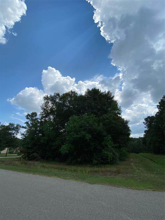 23120 Volga Drive - Photo 1