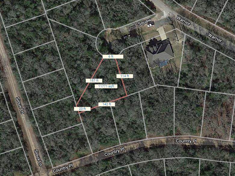 Lot 22 Squaw - Photo 1
