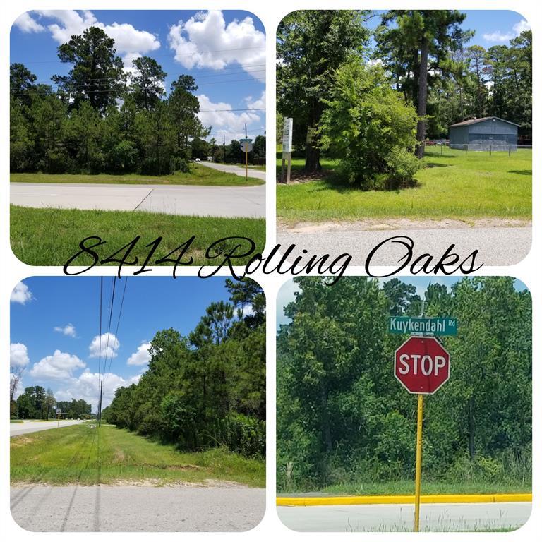 8418 Rolling Oaks Drive - Photo 1
