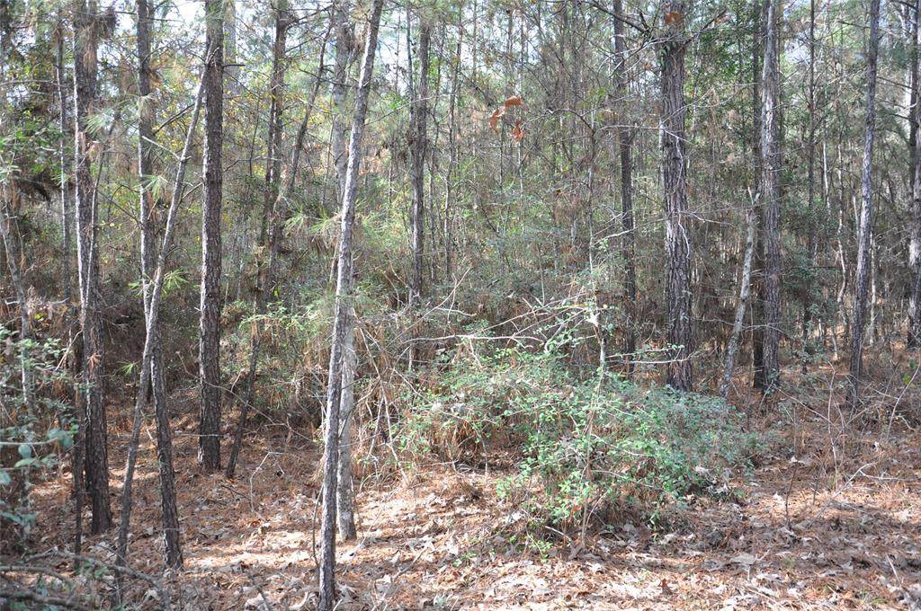 1-1-28 Texas Grand Road - Photo 1