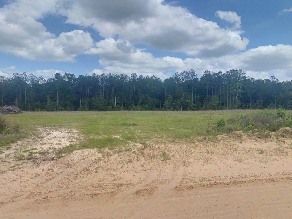 3051 County Road 1700 - Photo 1