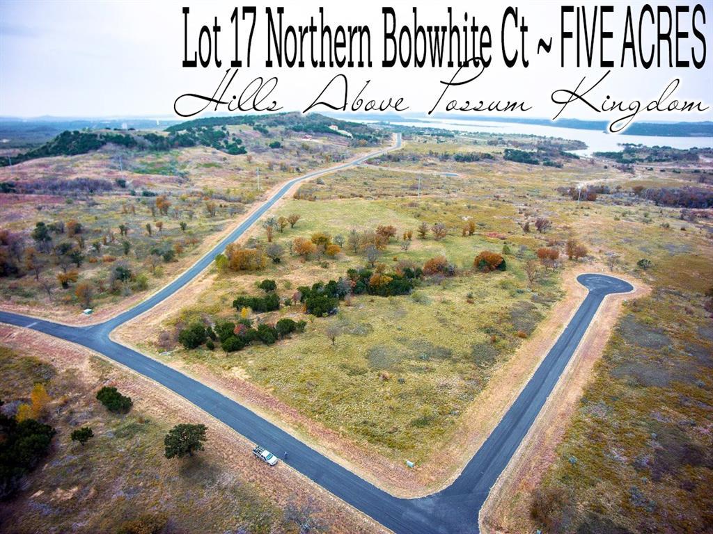 Lot 17 Northern Bobwhite Court - Photo 1