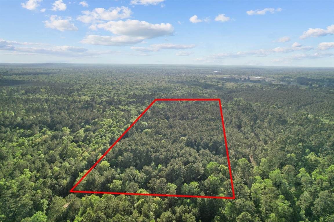 0 County Road 2116 - Photo 1
