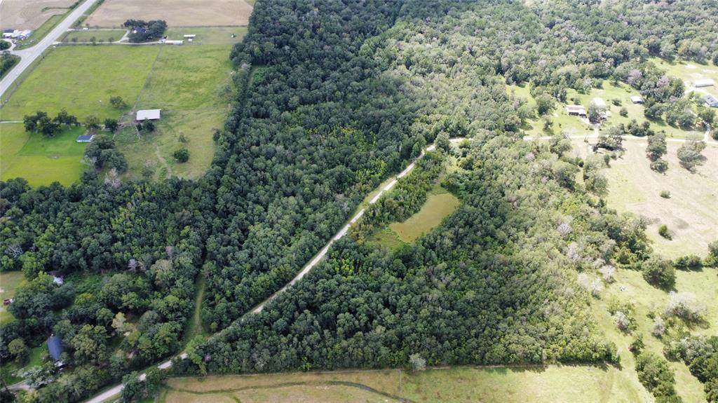 000 Kisatchie Lane - Photo 1