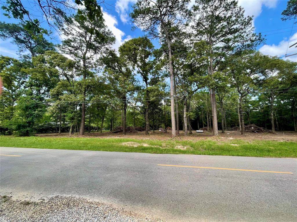 Lot 3 Rolling Hills - Photo 1
