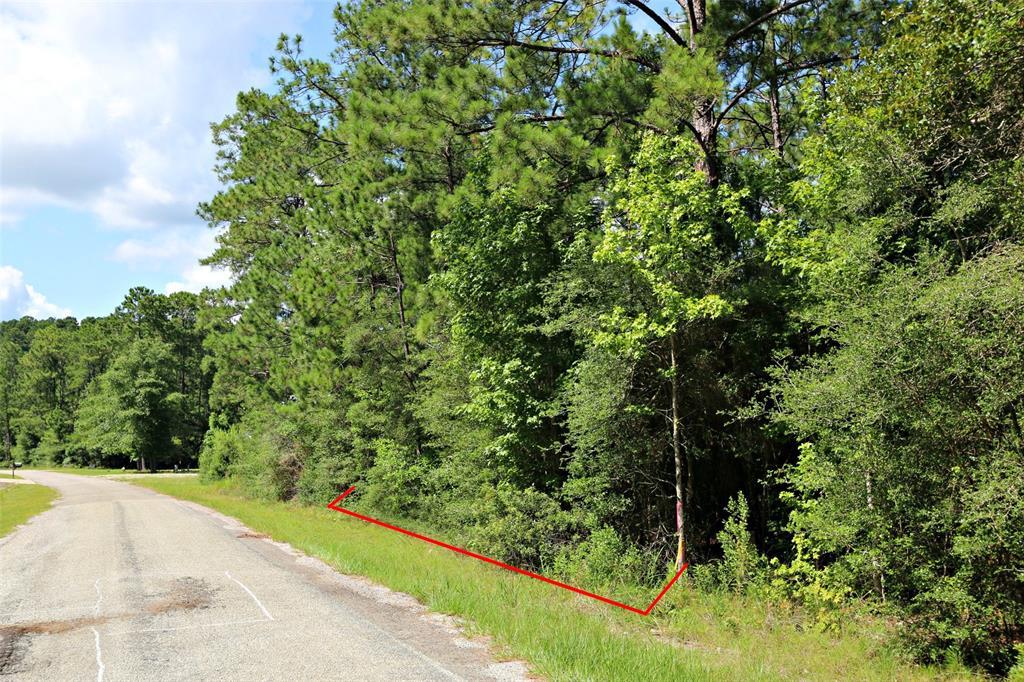 Lot 42 Pinehurst Drive - Photo 1