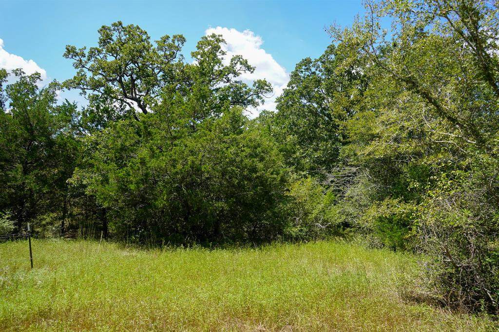 Lot 11 TBD County Road 190 - Photo 1