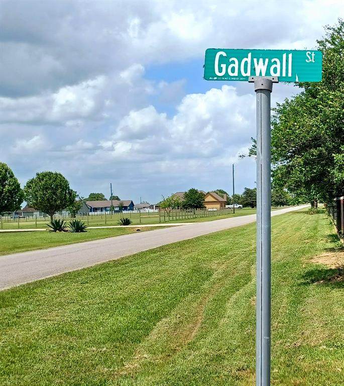 32671 Gadwall Street - Photo 1