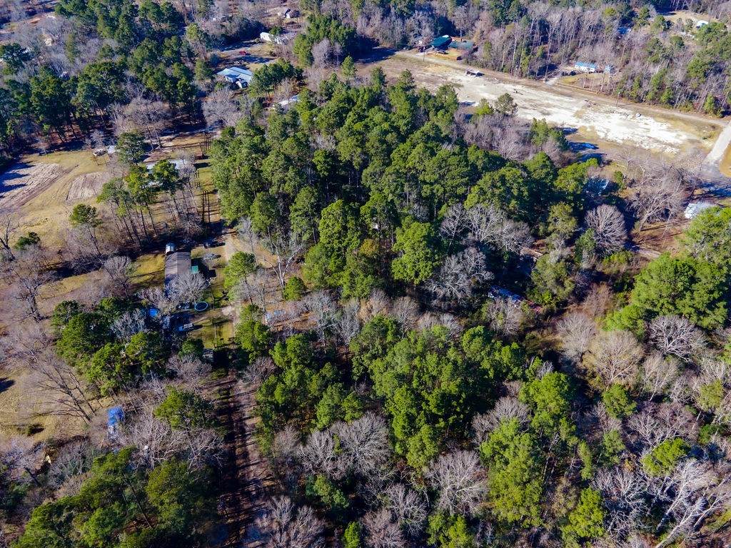 512 Hazelwood - Photo 1