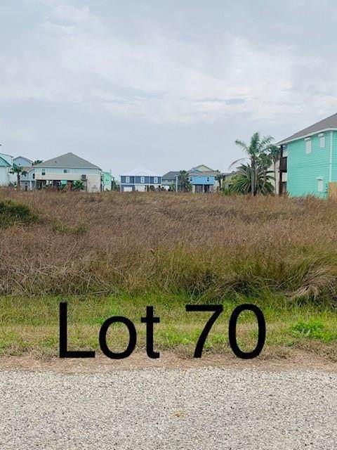 TBD70 Whooping Crane Street - Photo 1