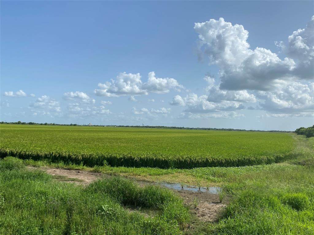000 Cat Spring Road - Photo 1