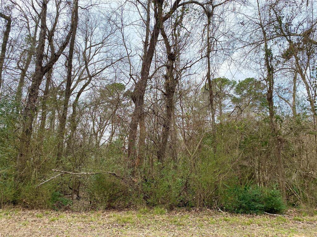 0 Lilac Ln - Photo 1