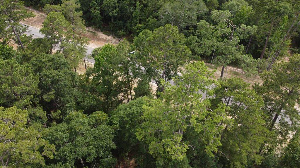 000 Alamo Drive - Photo 1