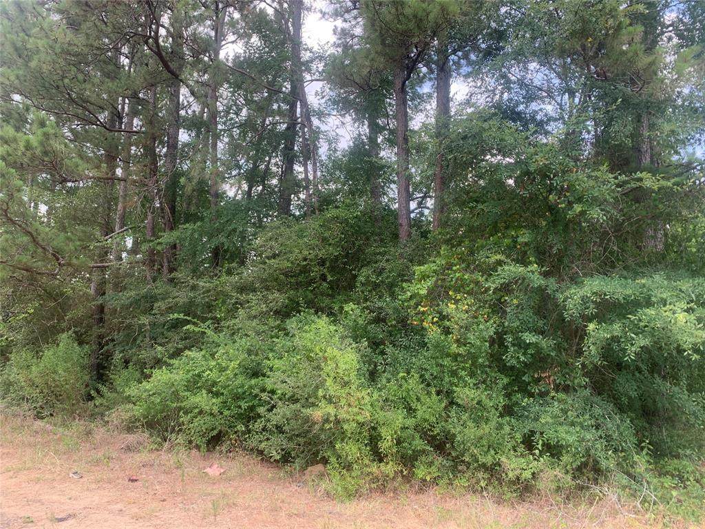 006 Tupelo Lane - Photo 1