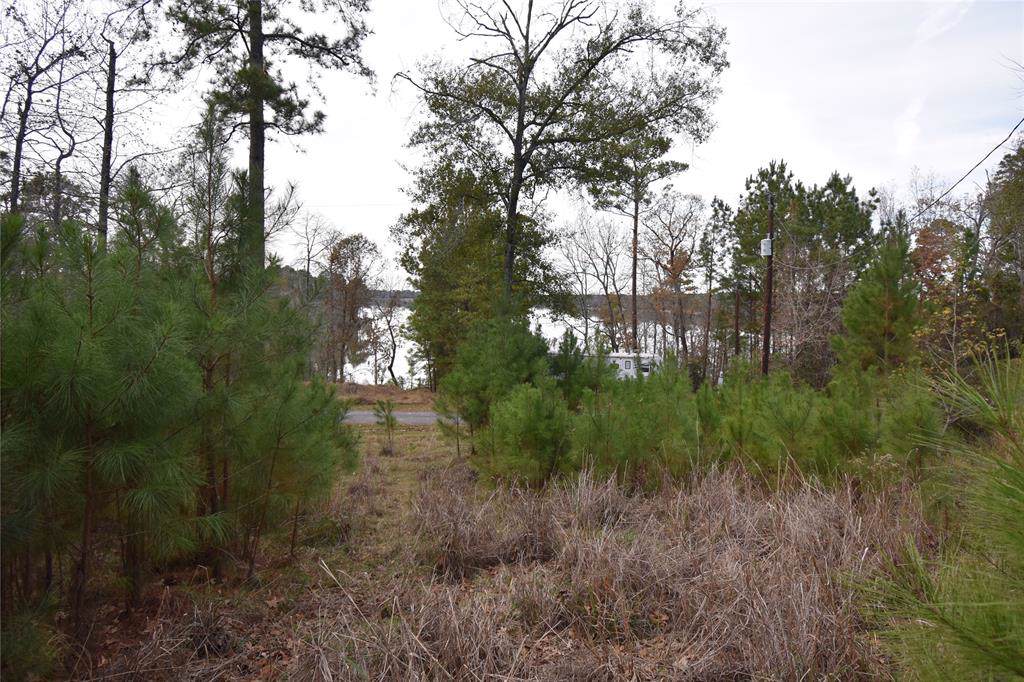 TBD260 Ridge Trail - Photo 1 TBD260 Ridge Trail - Photo 1