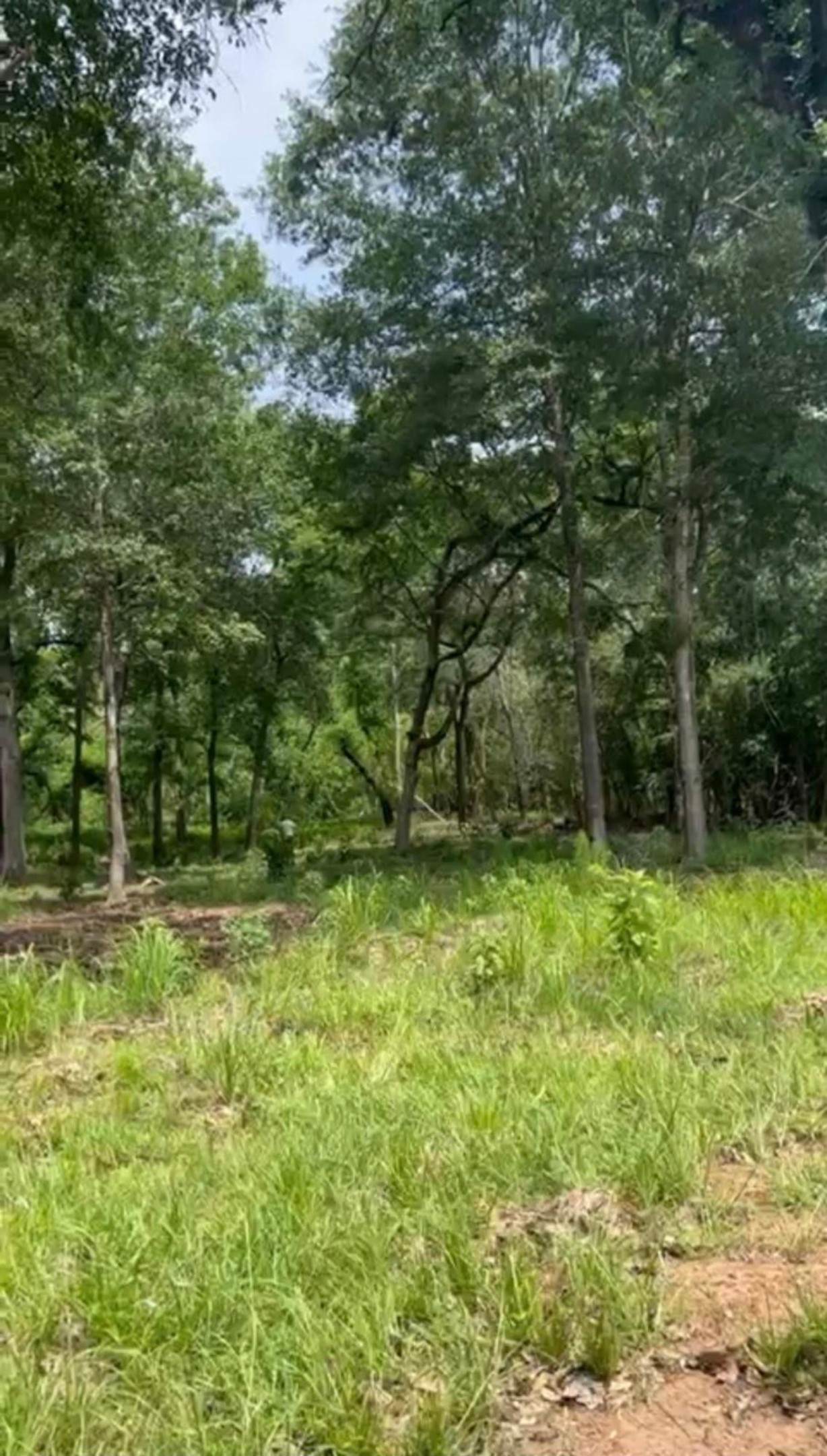 16414 Old Coach Road Drive - Photo 1