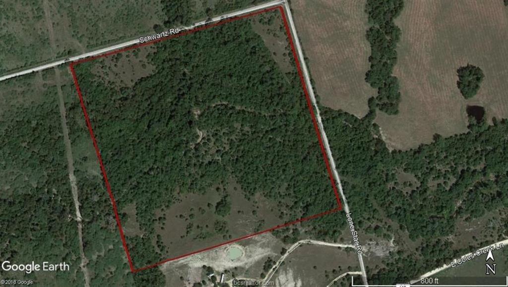 13816 Schwartz Road - Photo 1