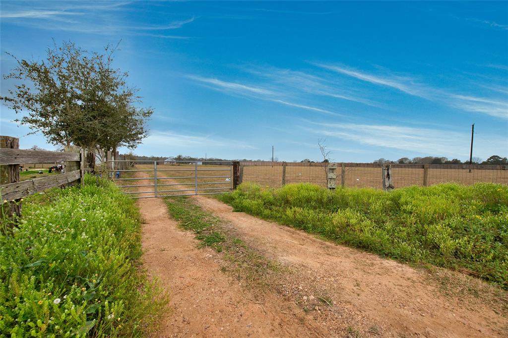 32431 Hunt Road - Photo 1