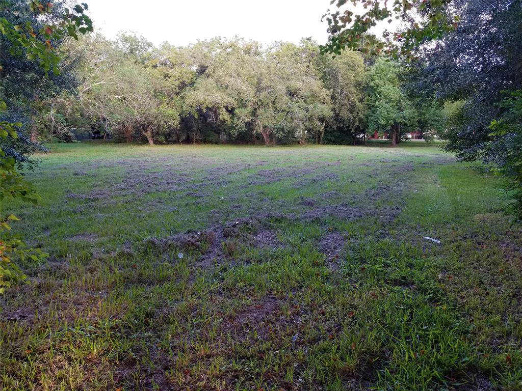 4407 Hiram Brandon Drive - Photo 1