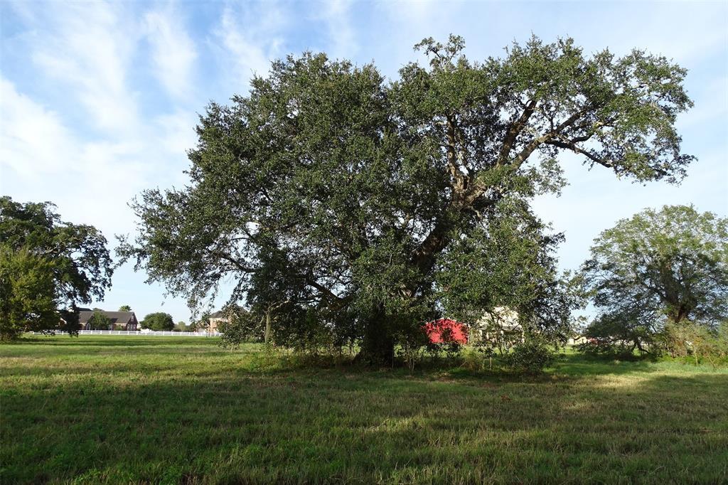 2902 Horse Trail Drive - Photo 1