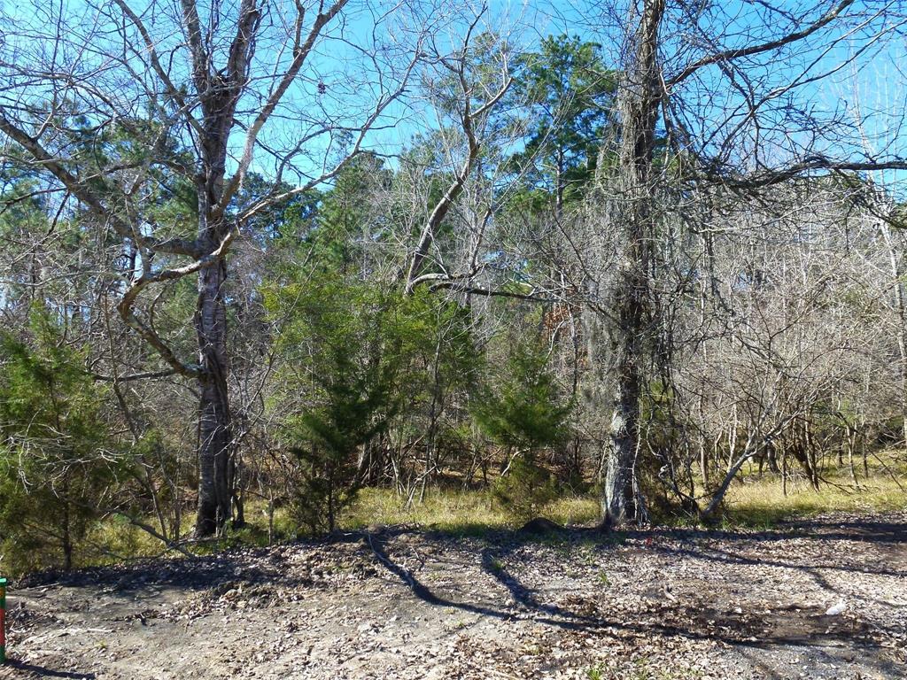 10 Forest Cove Loop - Photo 1