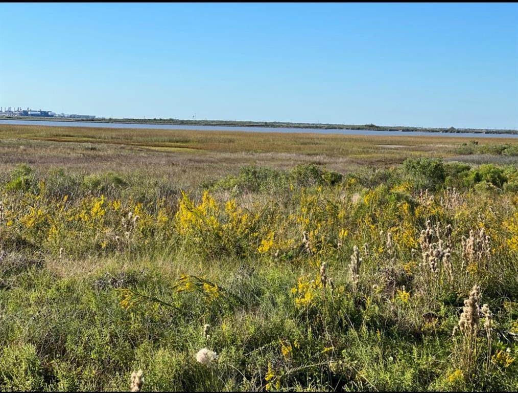 0000 County Road 257 - Photo 1