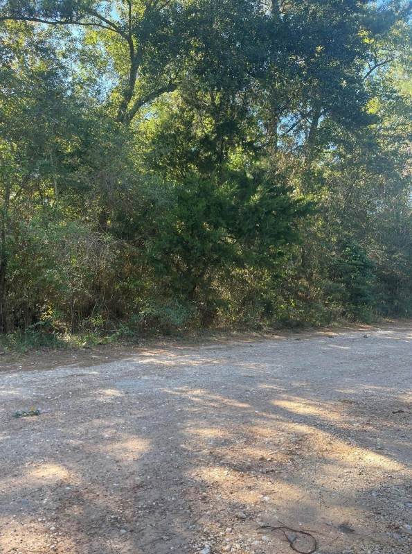 0 Le Conte Ln Lane - Photo 1