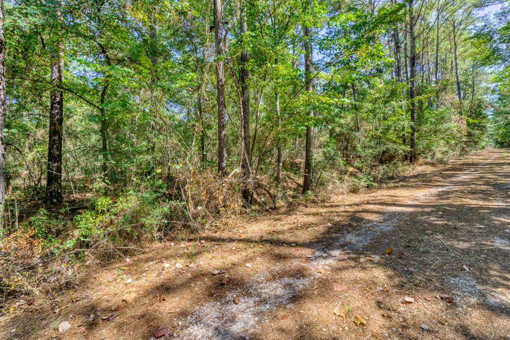 Lot 2 N Council Dr - Photo 1