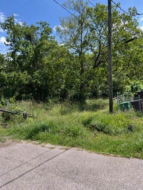 5606 Queensland Street - Photo 1