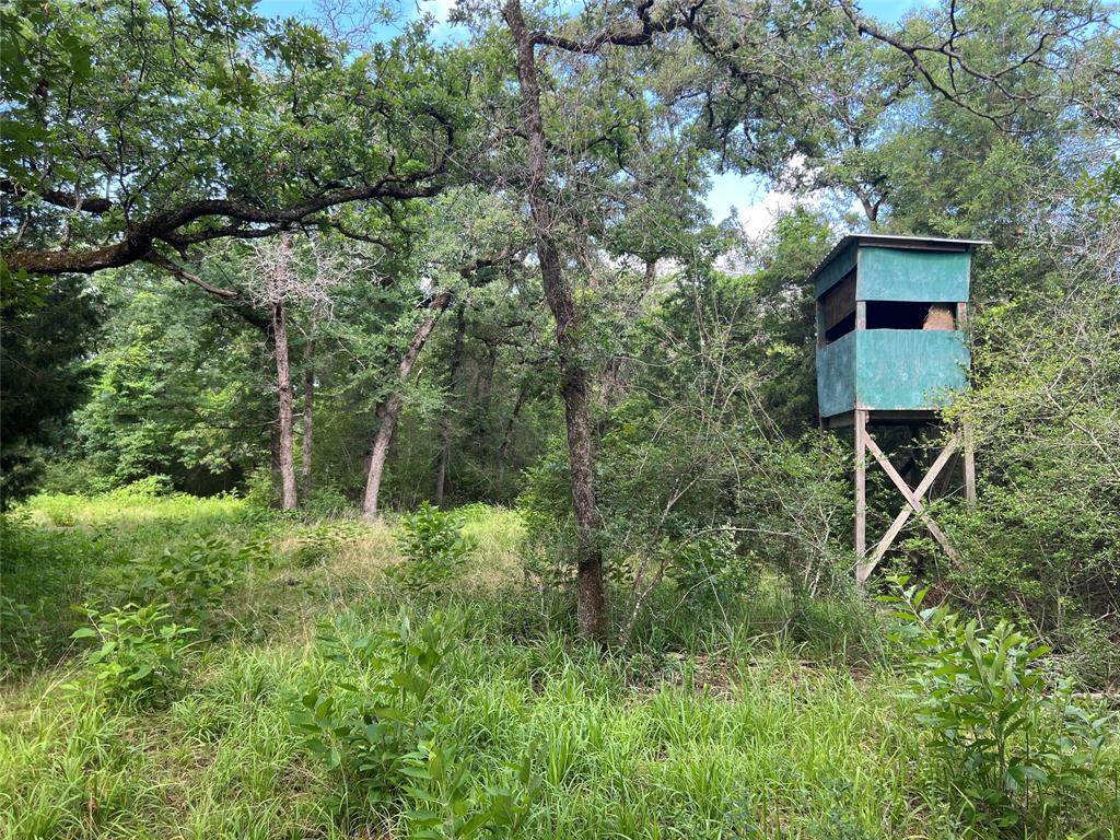 10AC County Rd 475 - Photo 1