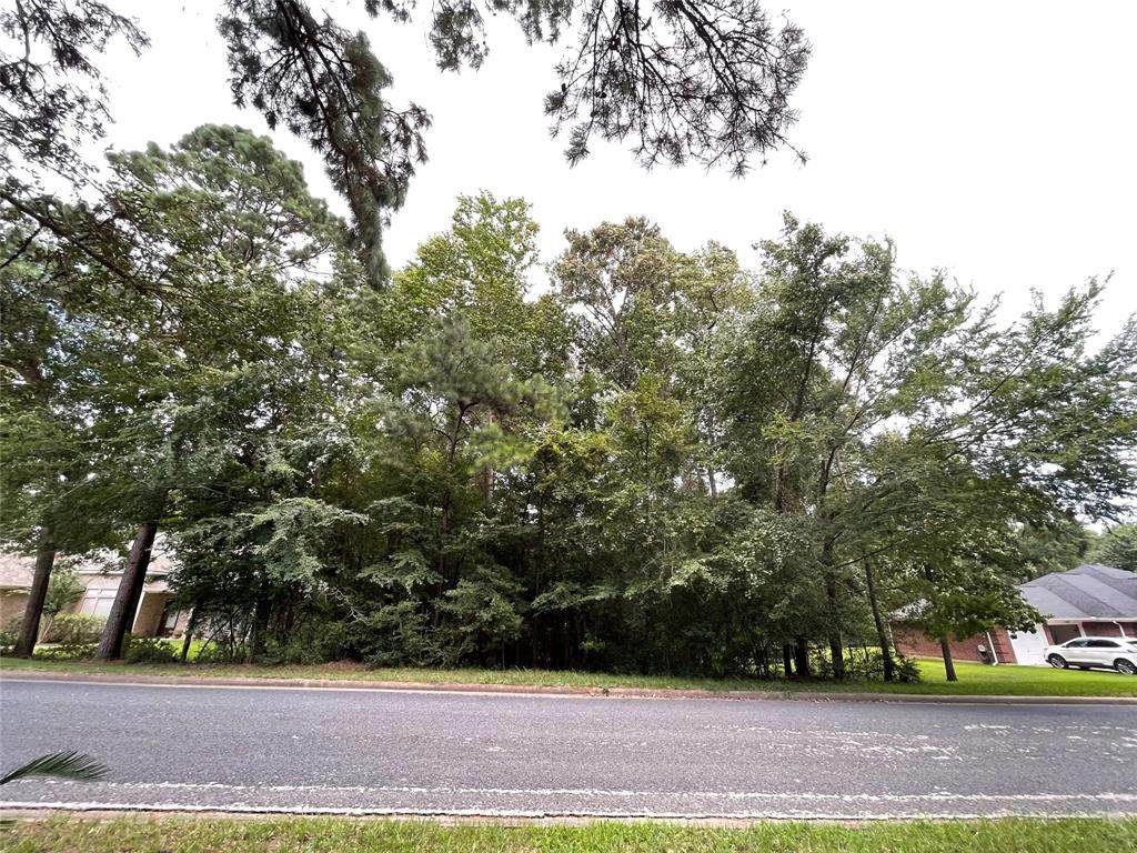 2215 Green Briar Drive - Photo 1