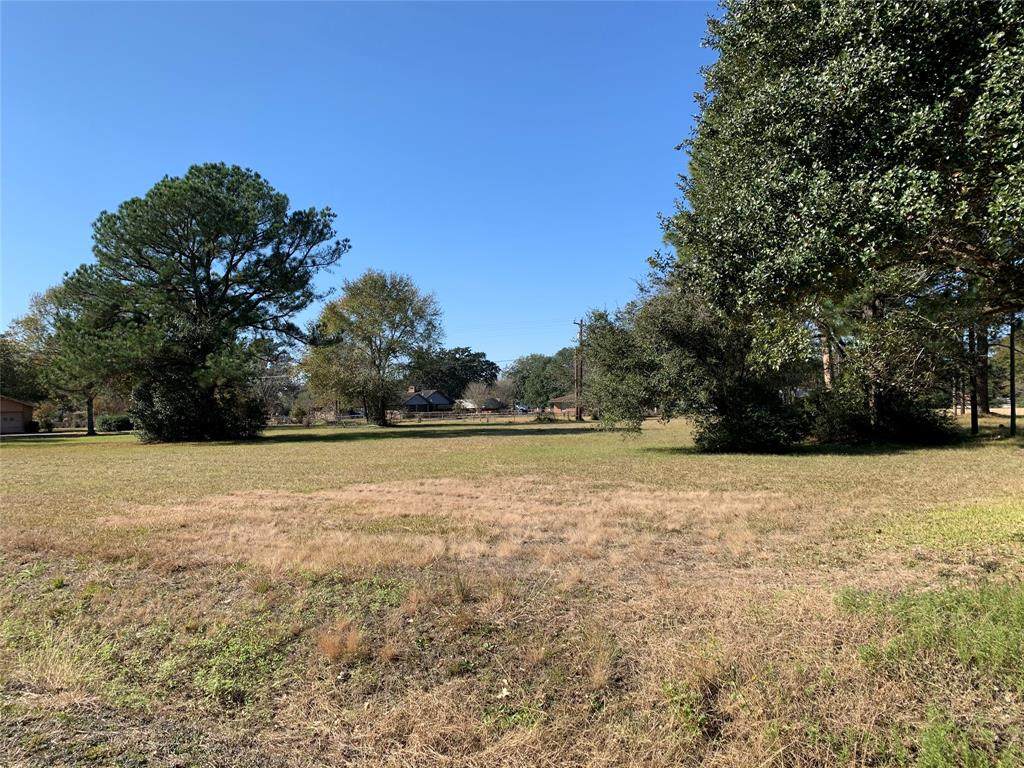 0 Alonzo Street - Photo 1