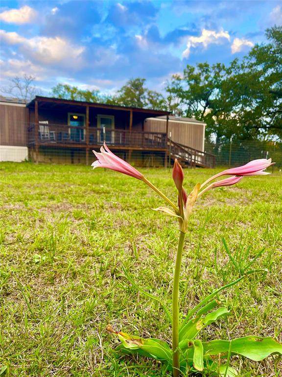 7275 Farm Road 1361 - Photo 1