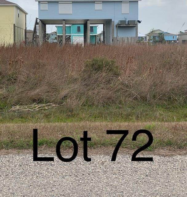 TBD72 Whooping Crane Street - Photo 1