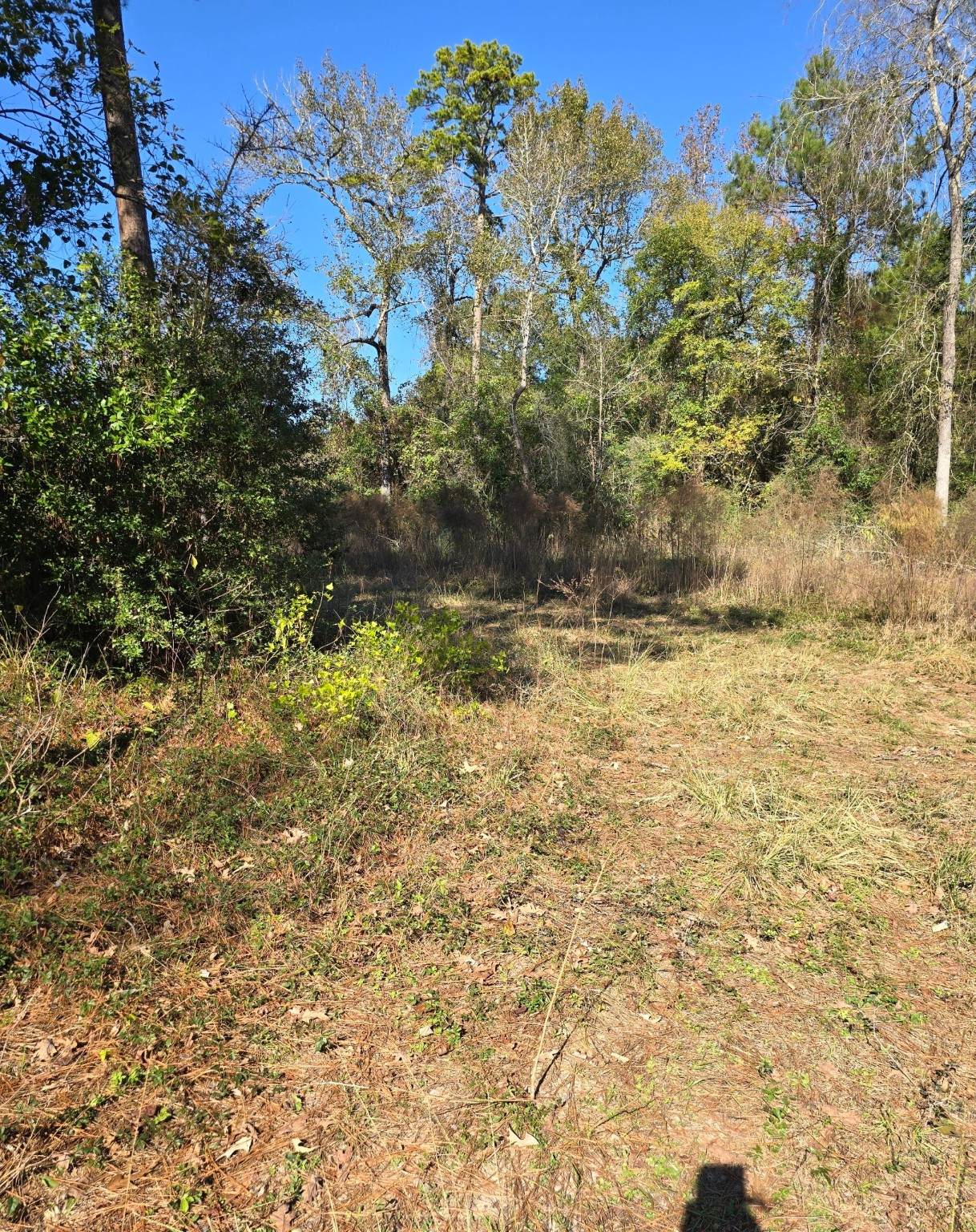 10287 Wanda Lane - Photo 1