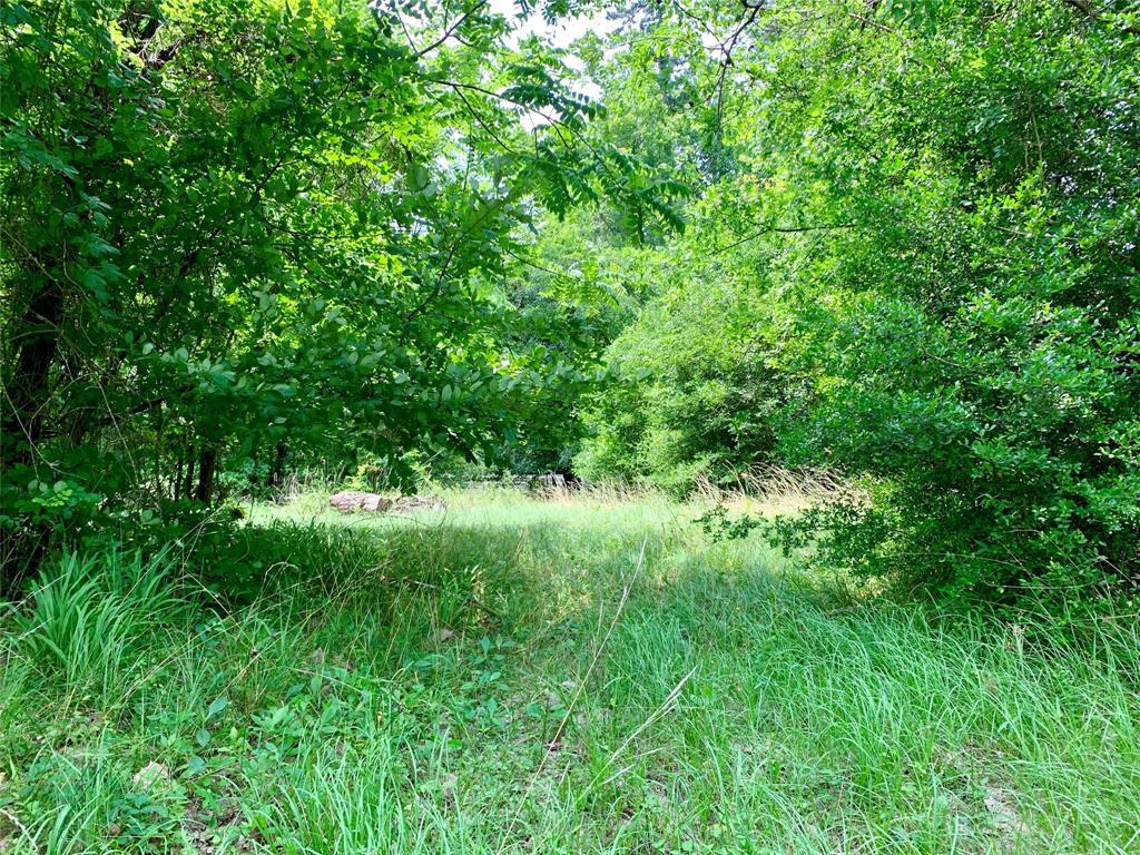 144 Lake Pines Circle - Photo 1