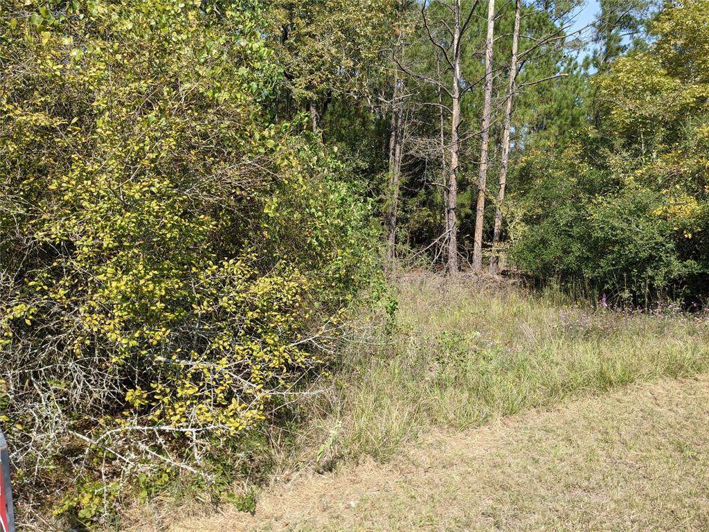 TBD Lakeside Drive - Photo 1
