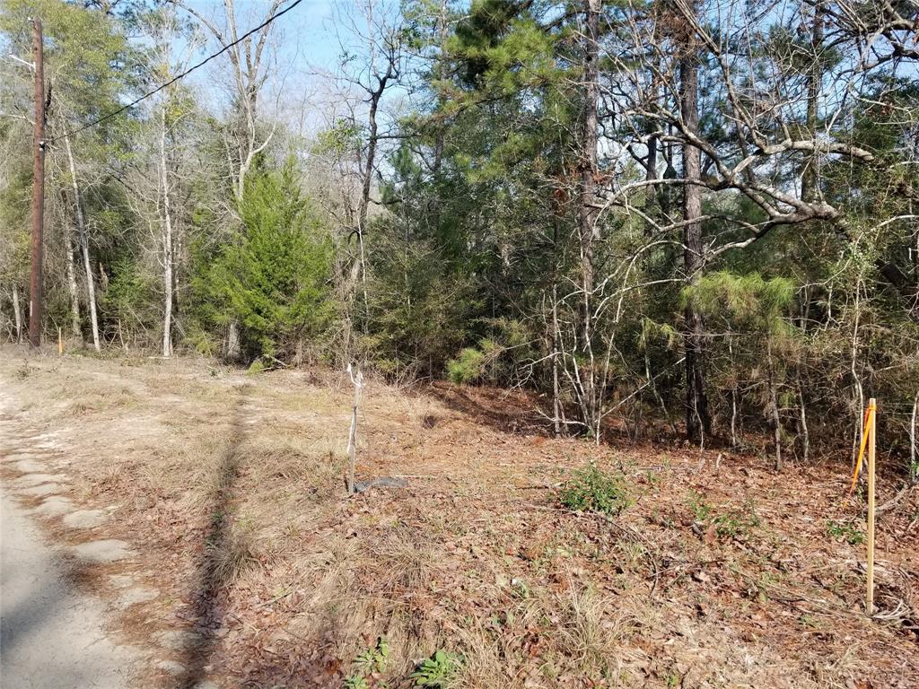 1254 County Road 3180 - Photo 1