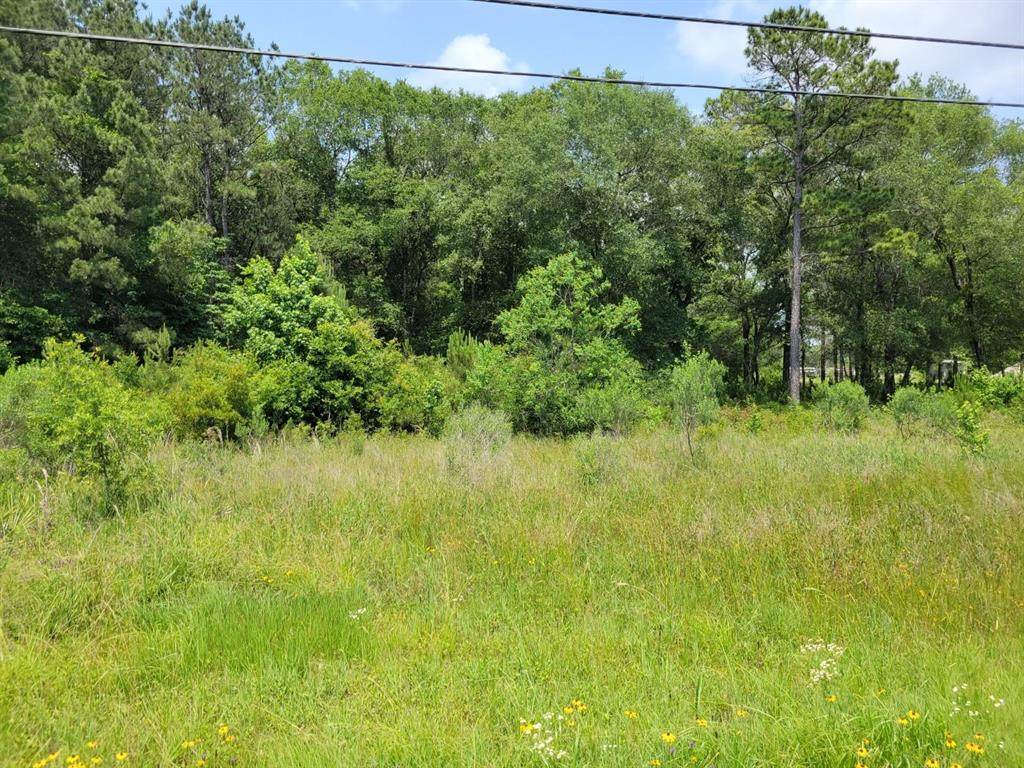 18439 Fm 1314 Road - Photo 1