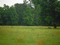 18580 Parker Road - Photo 1